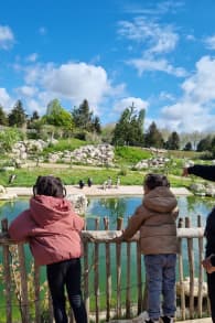 Photo 1 from Parrot World: Day Tickets